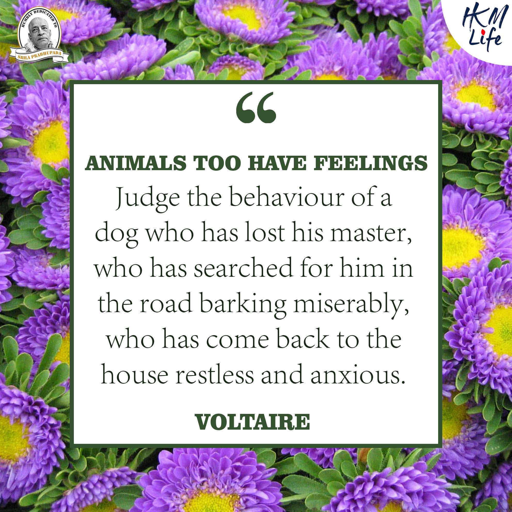 Quote Image