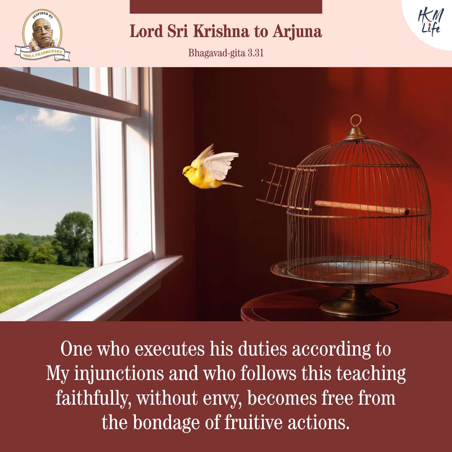 Quote Image