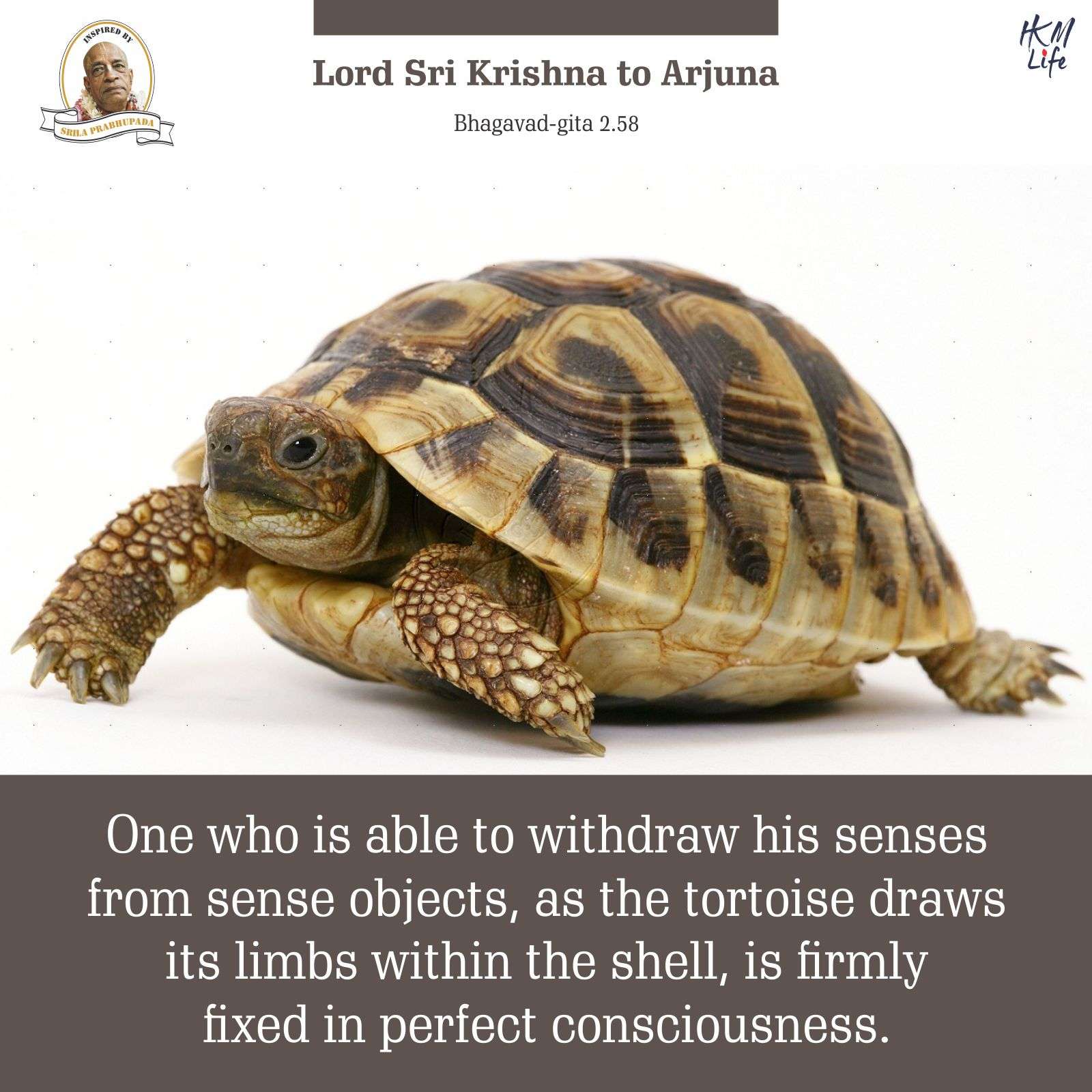 Quote Image