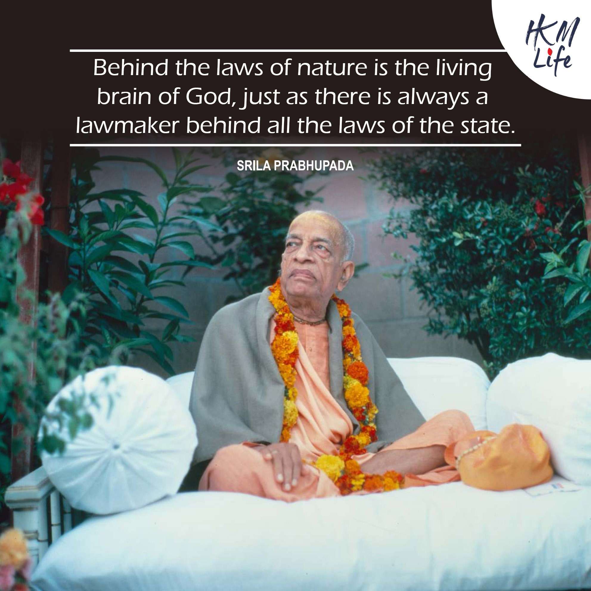 Quote Image
