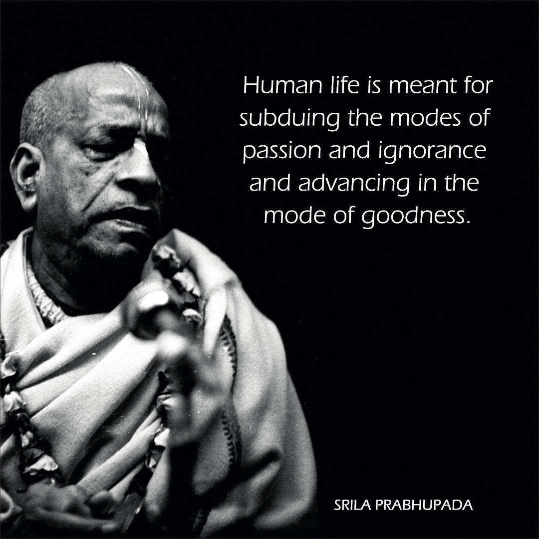 Quote Image