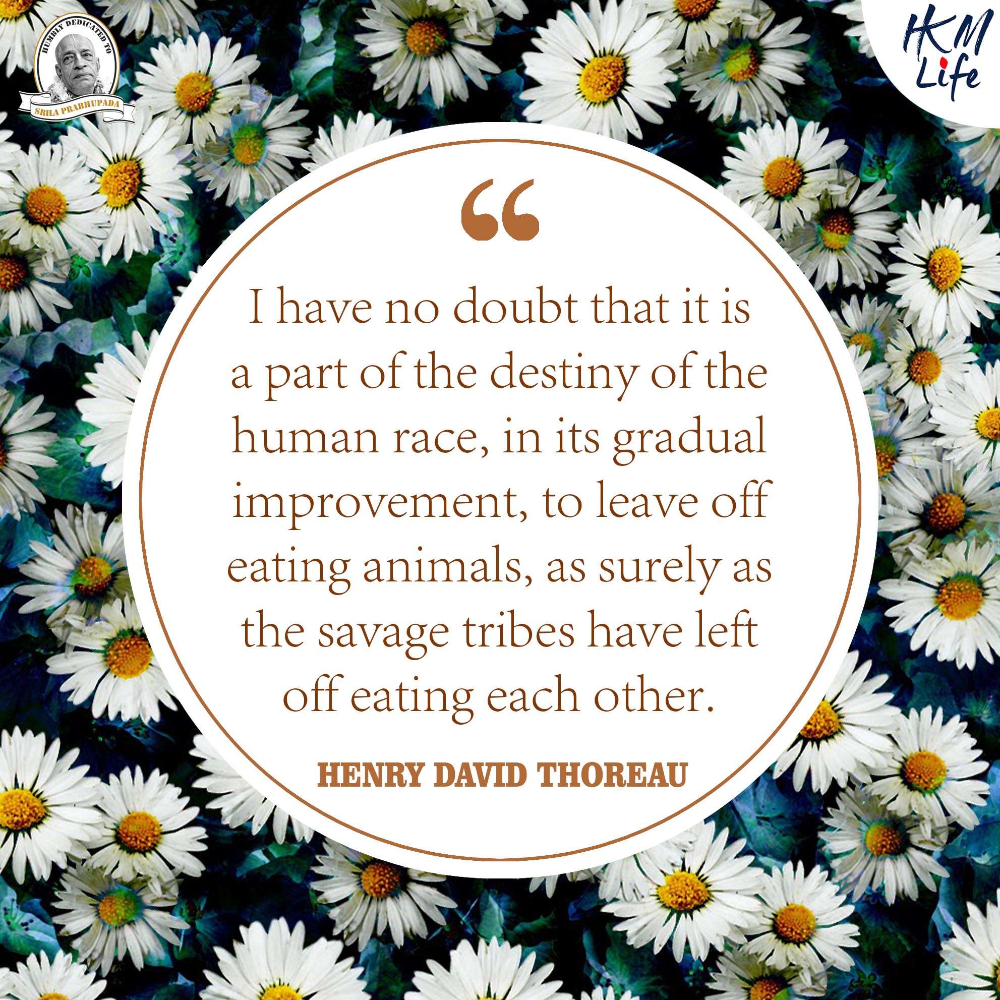 Quote Image